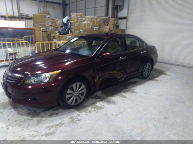 Photo 1 VIN: 1HGCP3F80BA006421 - HONDA ACCORD SDN 