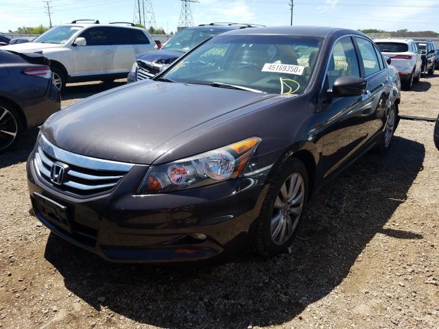 Photo 1 VIN: 1HGCP3F80BA013109 - HONDA ACCORD EXL 