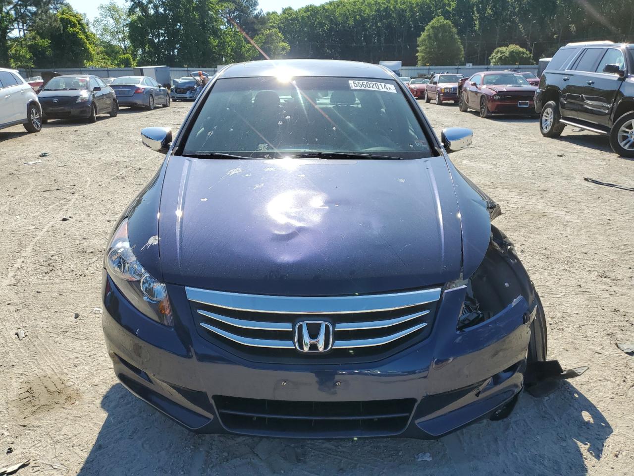 Photo 4 VIN: 1HGCP3F80BA028600 - HONDA ACCORD 