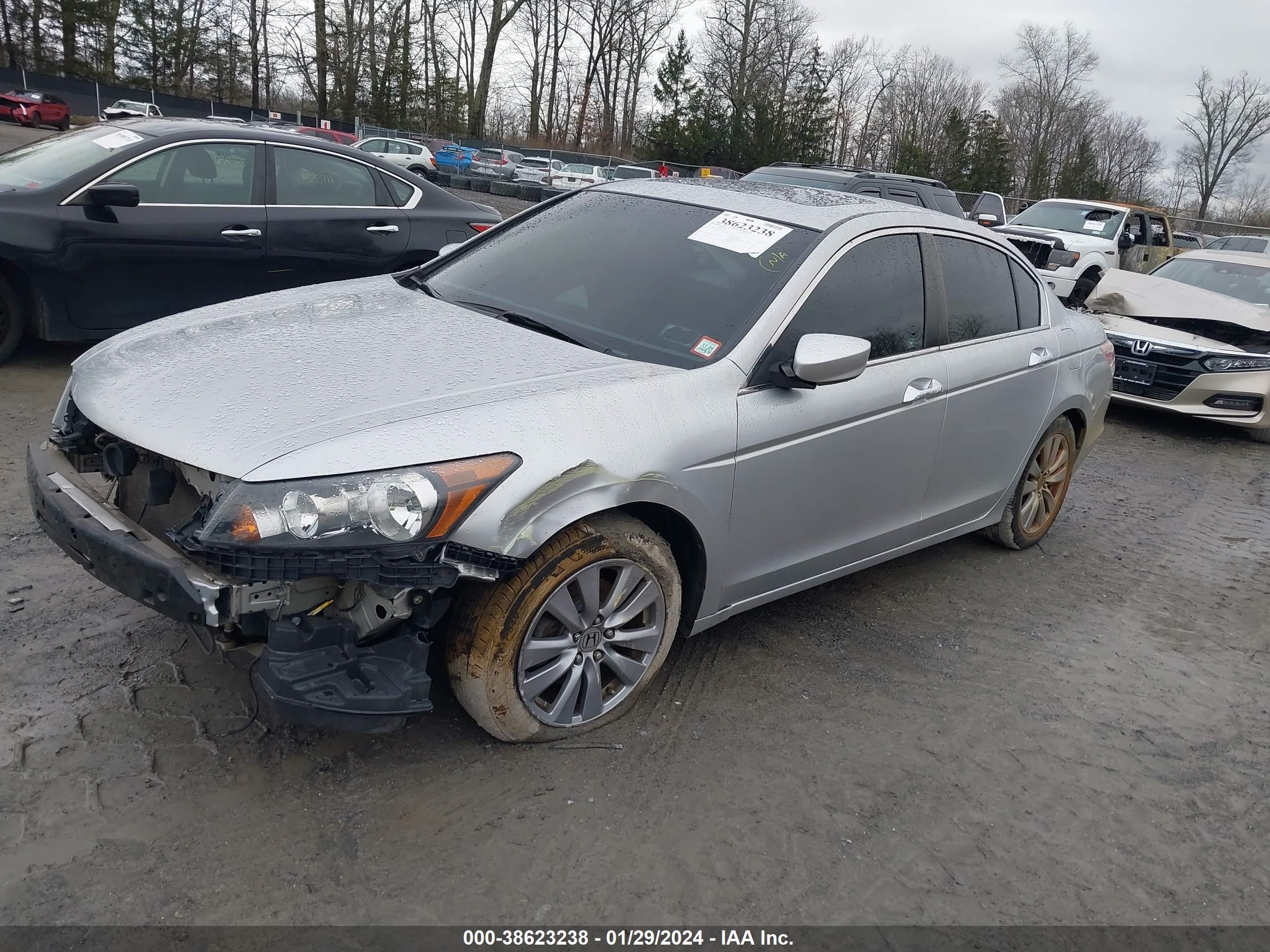 Photo 1 VIN: 1HGCP3F80CA002774 - HONDA ACCORD 