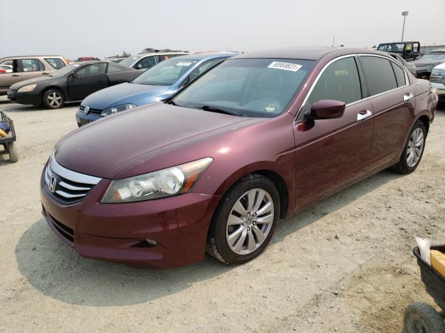 Photo 1 VIN: 1HGCP3F80CA011717 - HONDA ACCORD EXL 