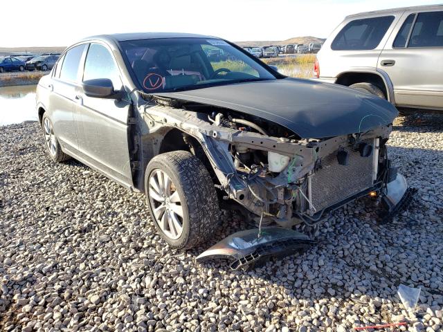 Photo 0 VIN: 1HGCP3F80CA033829 - HONDA ACCORD EXL 