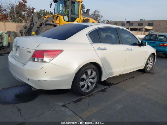 Photo 3 VIN: 1HGCP3F81AA007365 - HONDA ACCORD 