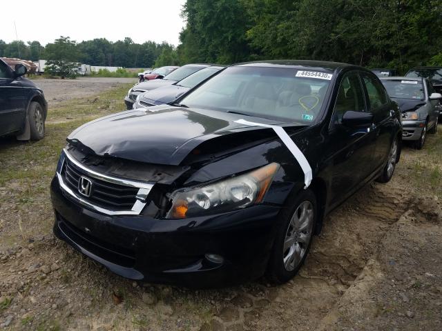 Photo 1 VIN: 1HGCP3F81AA009164 - HONDA ACCORD EXL 