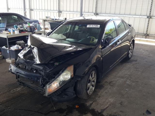 Photo 1 VIN: 1HGCP3F81AA013280 - HONDA ACCORD EXL 