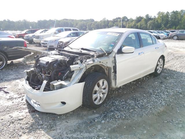 Photo 1 VIN: 1HGCP3F81AA023548 - HONDA ACCORD EXL 