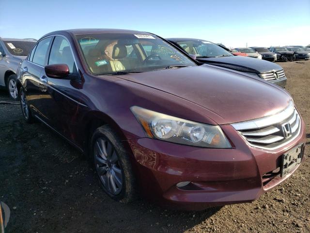 Photo 0 VIN: 1HGCP3F81BA013863 - HONDA ACCORD EXL 