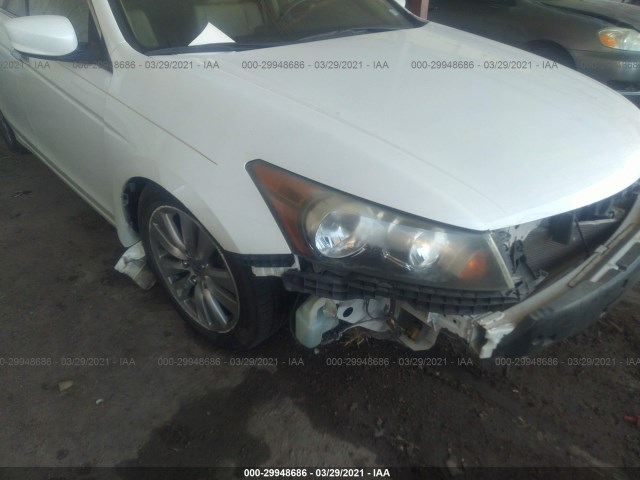 Photo 5 VIN: 1HGCP3F81BA026502 - HONDA ACCORD SDN 