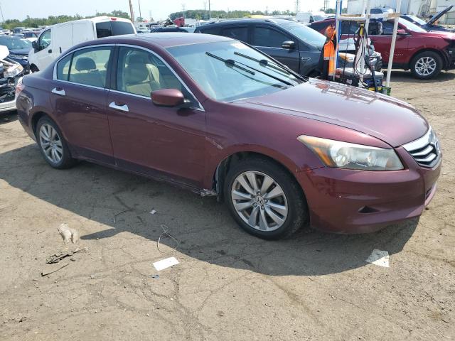 Photo 3 VIN: 1HGCP3F81BA028668 - HONDA ACCORD EXL 