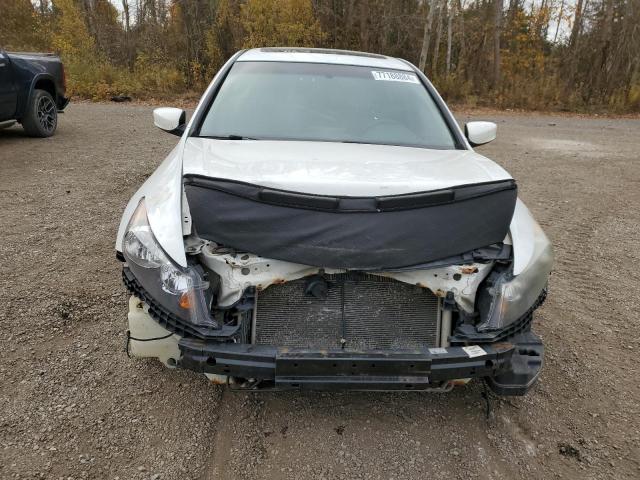 Photo 4 VIN: 1HGCP3F81BA800313 - HONDA ACCORD EXL 