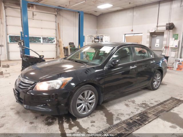 Photo 1 VIN: 1HGCP3F81CA000502 - HONDA ACCORD 