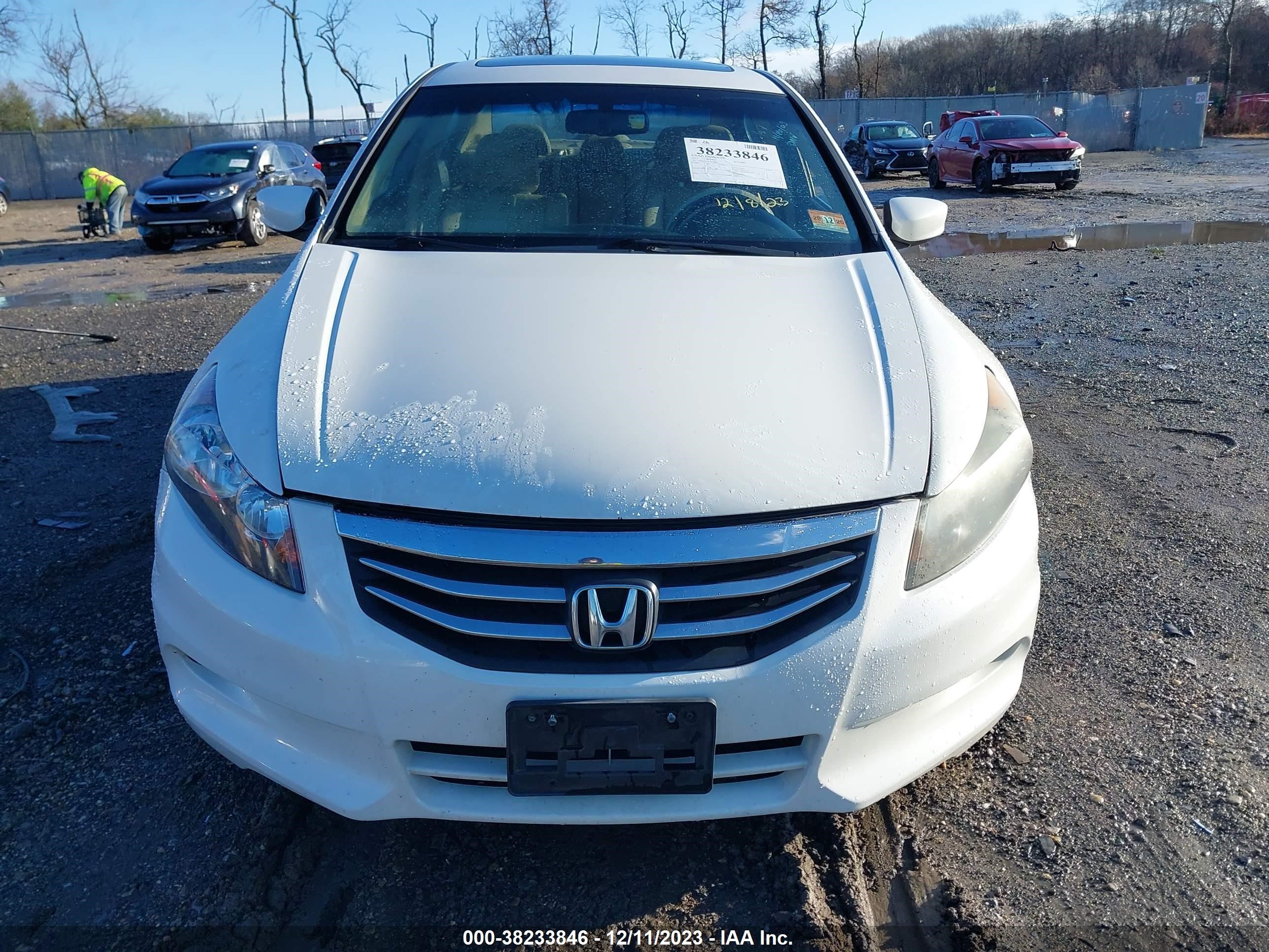 Photo 11 VIN: 1HGCP3F81CA008843 - HONDA ACCORD 