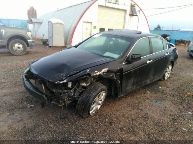 Photo 1 VIN: 1HGCP3F82AA015538 - HONDA ACCORD SDN 