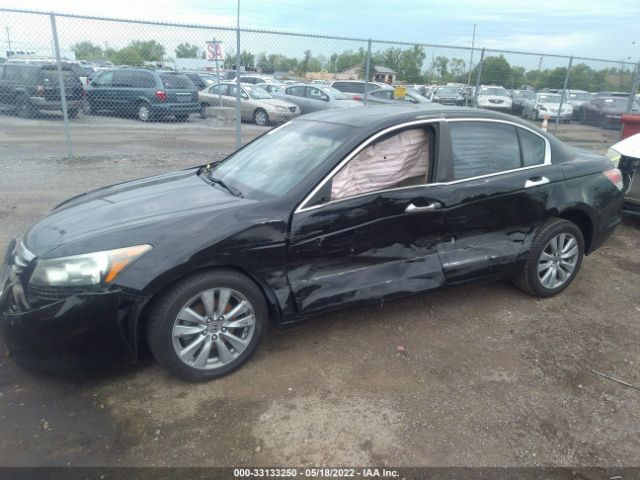 Photo 5 VIN: 1HGCP3F82BA007179 - HONDA ACCORD SDN 