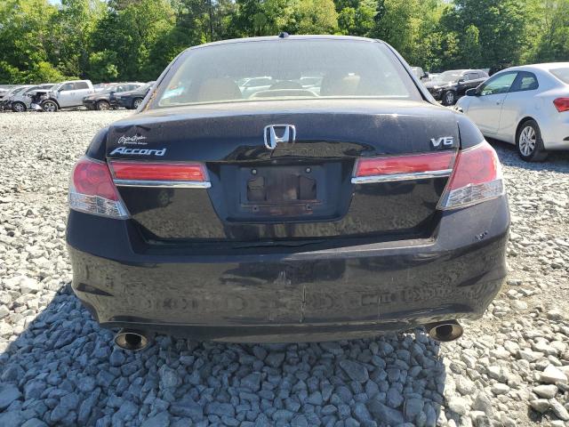 Photo 5 VIN: 1HGCP3F82BA019669 - HONDA ACCORD 