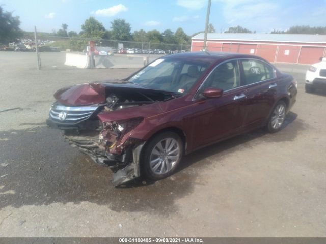 Photo 1 VIN: 1HGCP3F82BA021597 - HONDA ACCORD SDN 