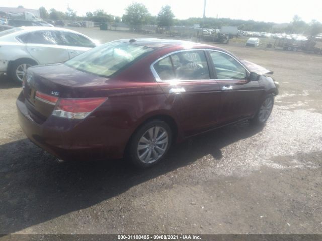 Photo 3 VIN: 1HGCP3F82BA021597 - HONDA ACCORD SDN 