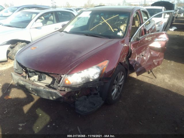 Photo 5 VIN: 1HGCP3F82CA030706 - HONDA ACCORD SDN 