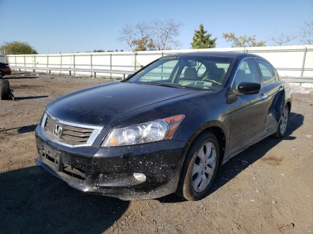 Photo 1 VIN: 1HGCP3F83AA015614 - HONDA ACCORD EXL 