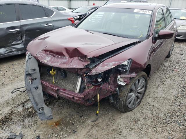 Photo 8 VIN: 1HGCP3F83BA003366 - HONDA ACCORD EXL 