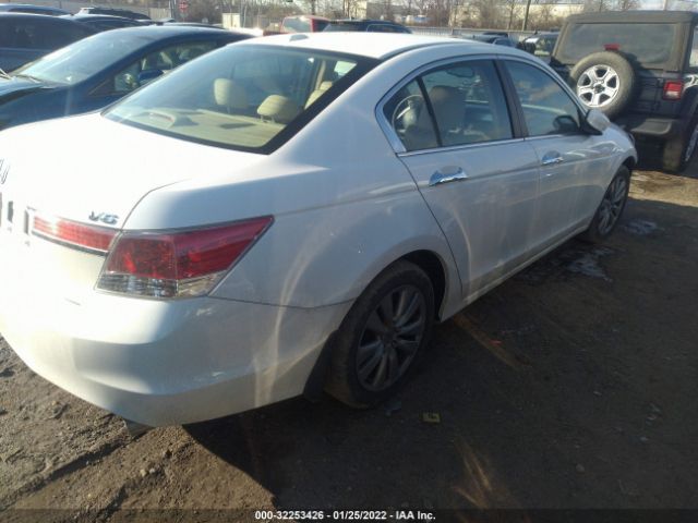 Photo 3 VIN: 1HGCP3F83BA025481 - HONDA ACCORD SDN 