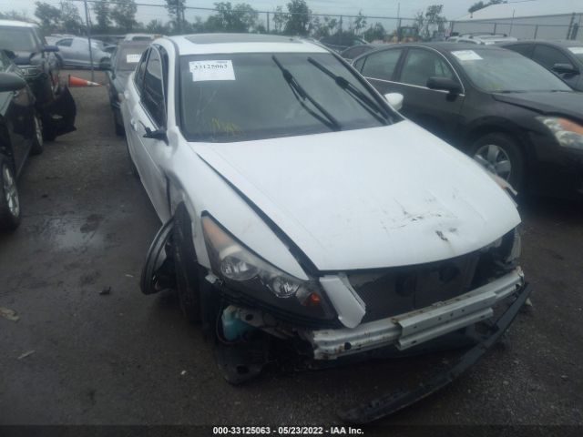 Photo 5 VIN: 1HGCP3F83CA027524 - HONDA ACCORD SDN 