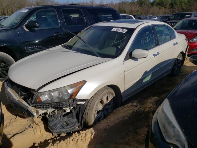 Photo 0 VIN: 1HGCP3F84AA013211 - HONDA ACCORD EXL 