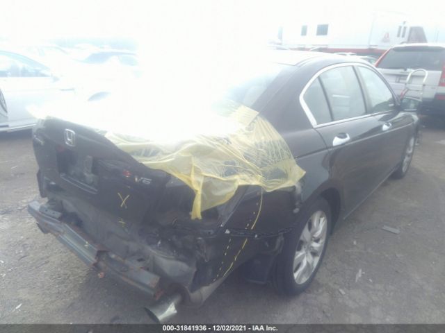 Photo 3 VIN: 1HGCP3F84AA018232 - HONDA ACCORD SDN 