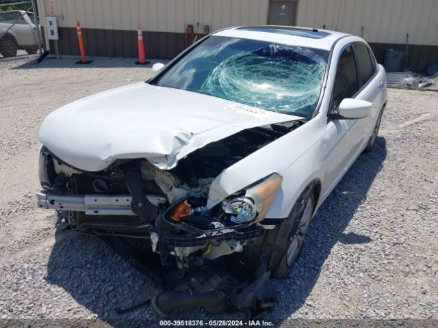 Photo 5 VIN: 1HGCP3F84CA018850 - HONDA ACCORD 