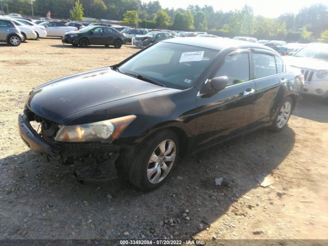 Photo 1 VIN: 1HGCP3F85AA003464 - HONDA ACCORD SDN 