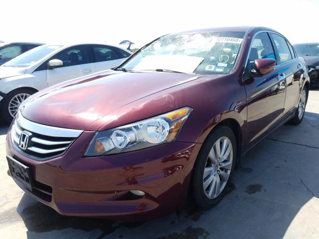 Photo 1 VIN: 1HGCP3F85BA011680 - HONDA ACCORD EXL 