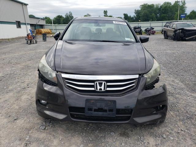 Photo 4 VIN: 1HGCP3F85BA025790 - HONDA ACCORD 