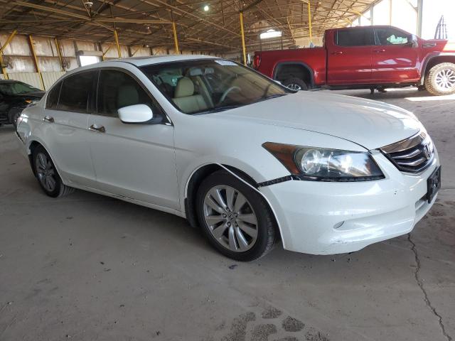 Photo 3 VIN: 1HGCP3F85BA029189 - HONDA ACCORD EXL 