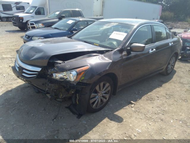 Photo 1 VIN: 1HGCP3F85BA800931 - HONDA ACCORD 