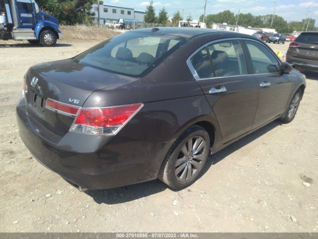 Photo 3 VIN: 1HGCP3F85BA800931 - HONDA ACCORD 