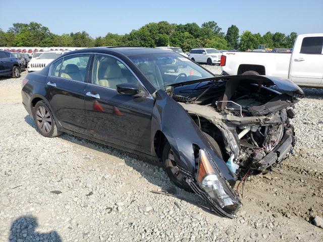 Photo 3 VIN: 1HGCP3F85CA019442 - HONDA ACCORD 