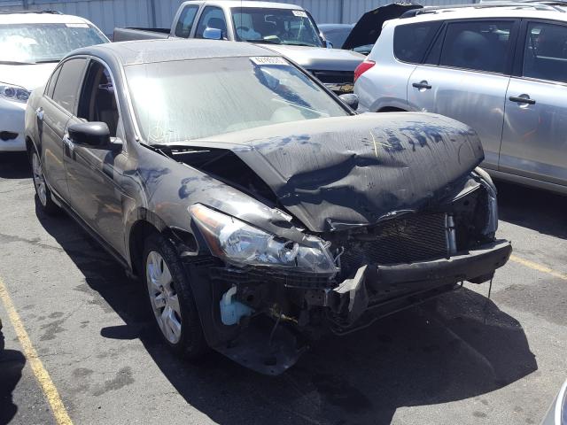 Photo 0 VIN: 1HGCP3F86AA001139 - HONDA ACCORD EXL 