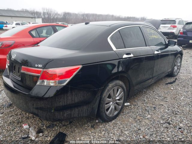 Photo 3 VIN: 1HGCP3F86BA022137 - HONDA ACCORD 