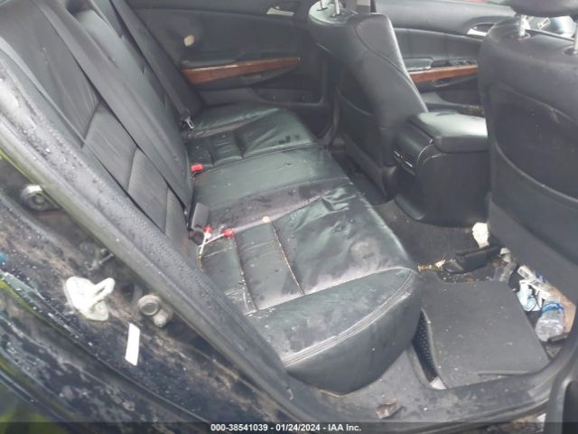 Photo 7 VIN: 1HGCP3F86BA022137 - HONDA ACCORD 