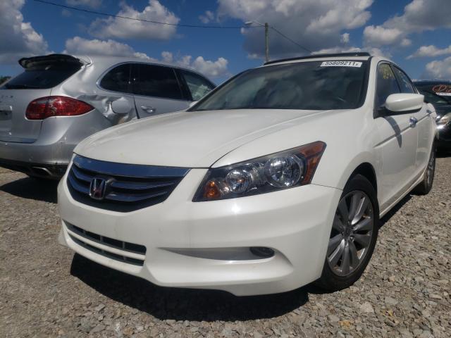 Photo 1 VIN: 1HGCP3F86BA023451 - HONDA ACCORD EXL 