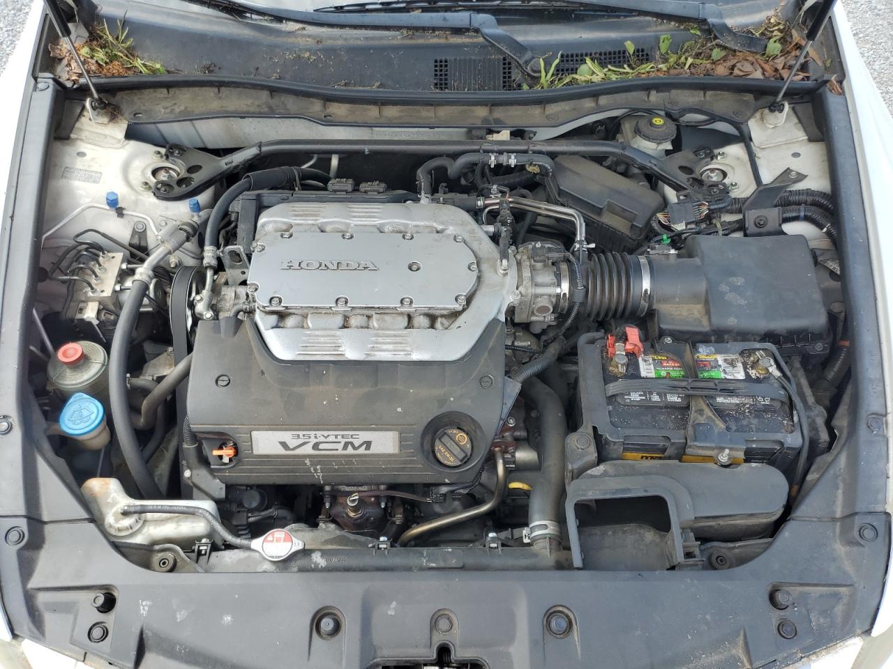 Photo 10 VIN: 1HGCP3F86BA028147 - HONDA ACCORD 