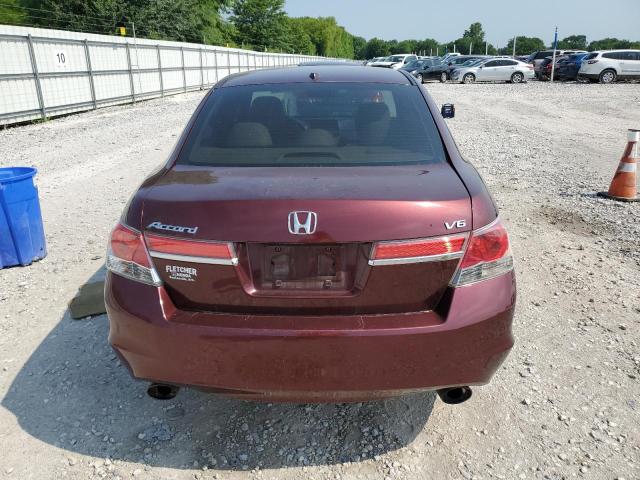 Photo 5 VIN: 1HGCP3F87BA012653 - HONDA ACCORD EXL 