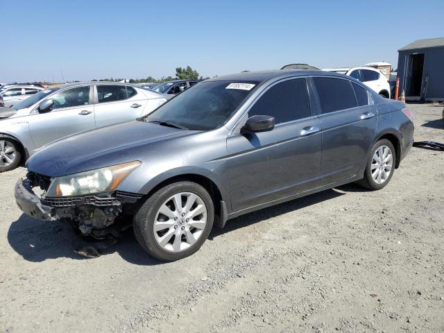 Photo 0 VIN: 1HGCP3F88AA029802 - HONDA ACCORD EXL 