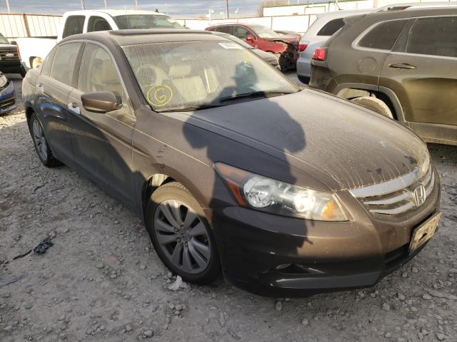 Photo 0 VIN: 1HGCP3F88BA010507 - HONDA ACCORD EXL 