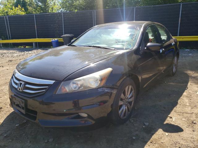 Photo 1 VIN: 1HGCP3F88BA032023 - HONDA ACCORD EXL 