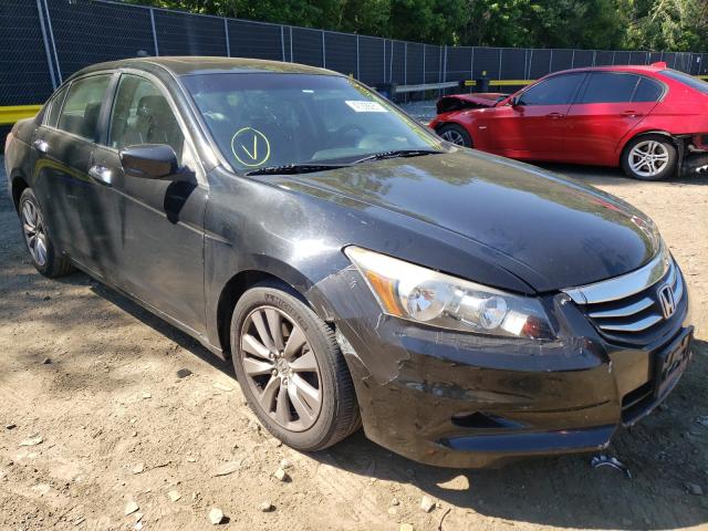 Photo 8 VIN: 1HGCP3F88BA032023 - HONDA ACCORD EXL 