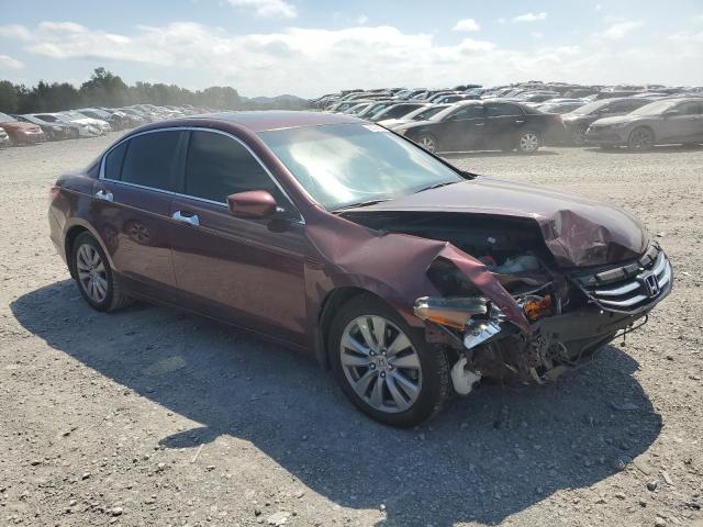 Photo 3 VIN: 1HGCP3F88CA019337 - HONDA ACCORD EXL 