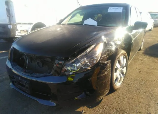 Photo 5 VIN: 1HGCP3F89AA031011 - HONDA ACCORD SDN 