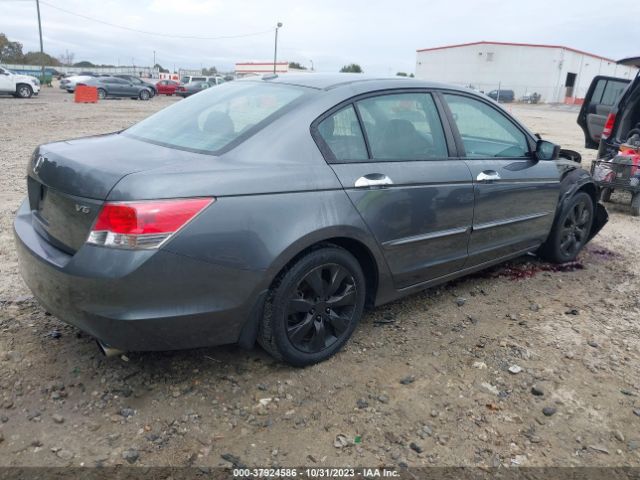 Photo 3 VIN: 1HGCP3F8XAA010393 - HONDA ACCORD SDN 