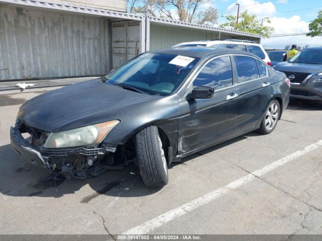 Photo 1 VIN: 1HGCP3F8XAA032099 - HONDA ACCORD 